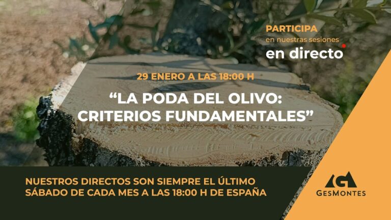 Espacios Verdes Recomendables en Olivenza