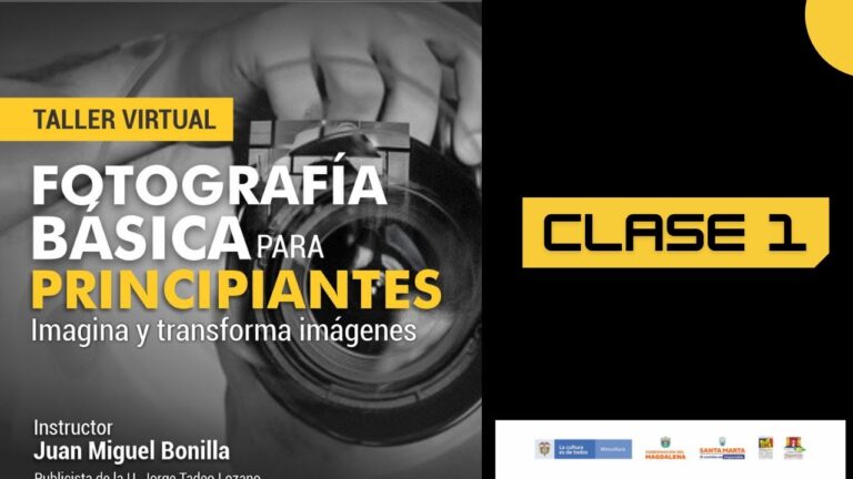 Mejores opciones para cursos de ilustración digital en Santa Marta
