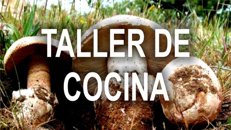 Mejores lugares para cursos de cocina en Badajoz