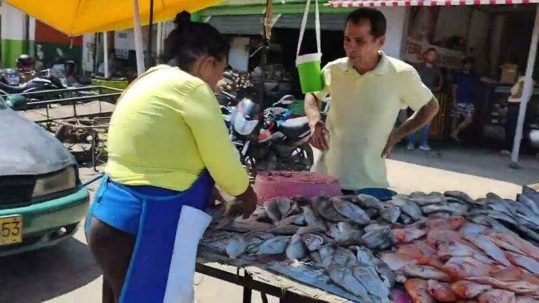 Mercados Navide&ntilde;os en Santa Marta: Gu&iacute;a Completa