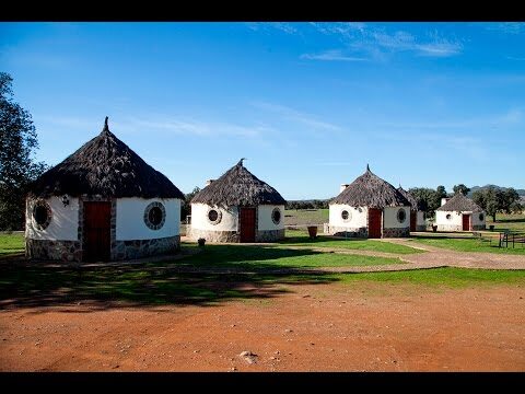Los Mejores Hoteles en Alburquerque